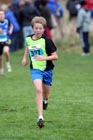 Blue 327, North East Harrier League, Sunderland